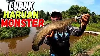Casting haruan gabus di lubuk haruan MONSTER