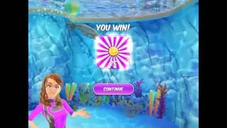 My dolphin show