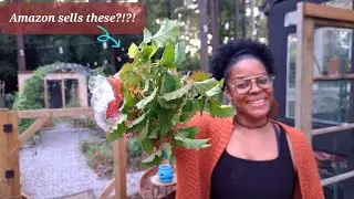 Saving $$$! Amazon Garden Haul!