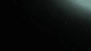 Прямой показ хтмана 2 World record