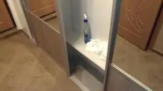 Креативный шкаф купе для прихожей