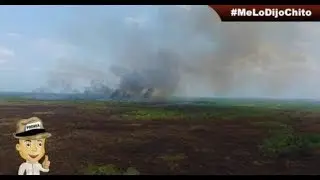 Incendio Forestal en Área Natural Protegida Los Petenes