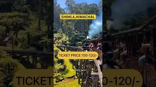 Shimla kaise jaye in 3000/- only 😳