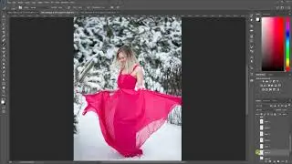 Brilliant Snow Brush