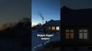 зима. дома из окна. ❄️