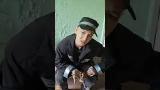 Приговор