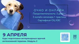 Курс подготовки ветеринарных врачей интенсивной терапии. Модуль 2