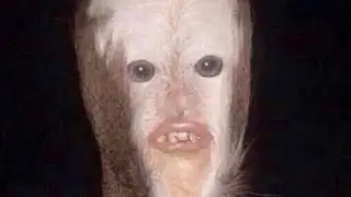 try not to laugh challenge №40