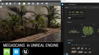 MEGASCANS IN UE4  |  BRIDGE WORKFLOW