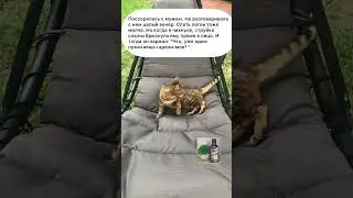 Поссорились с мужем. #анекдототкожаного