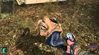 S.T.A.L.K.E.R. 