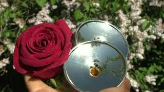 Diamanterna Tid Den Är Den Bästa Tid 💚