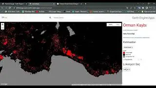Google Earth Engine İle Orman Kaybı Uygulaması