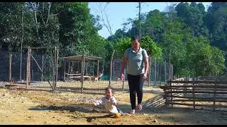 The husband is away, the daughter is at home with his wife Water pipes for feeding chickens
