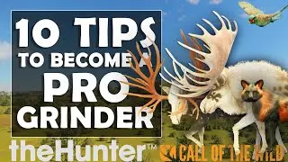 10 TOP TIPS for Becoming a PRO GRINDER in Call of the Wild!!!