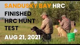 SANDUSKY BAY HRC FINISHED HUNT TEST -AUG 21 2021