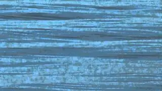 sharks and whales 3