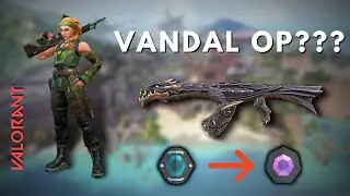 VALORANT | I played Skye in solos and this happened...