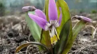 Супер Релакс!