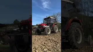 Zetor