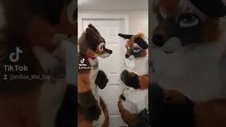 Furry Therapy 