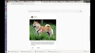 Angular Material Design Card