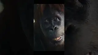 Планета обезьян Новое царство (Kingdom of the Planet of the Apes) (2024) #фильм #кино #movie #мульт