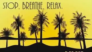 stop breathe relax palm tree motion graphic vance