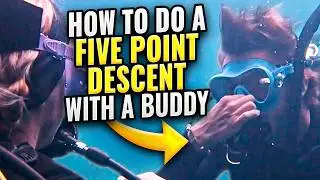 Scuba Diving: How to Do the 5 Point Descent With a Buddy