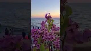 КРАСИВЫЙ ЗАКАТ СОЧИ ❤️ #любовь #music