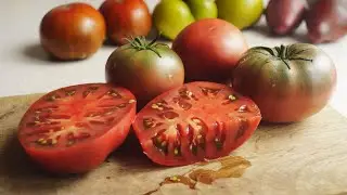 НУ ЧТО ЗА ВКУСНЯТИНА ЭТОТ ТОМАТ ДИКИЙ ФРЕД!