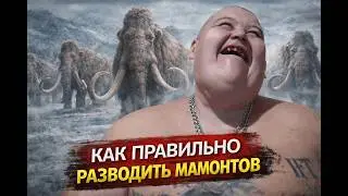 Example of a scam from Full TV / Dmitry Serov / Arkashino TV / I Want to Eat TV