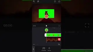Enlight Videoleap: How to Work with Chroma (Green Screen!)