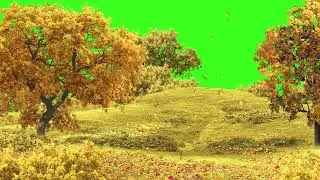 Autumn Fall Green screen video 
