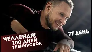 77 день челленджа Александр Синеркин
