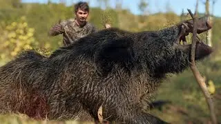 DEV DOMUZ AVI (2021) WILD BOAR HUNTING/CACCIA AL CINGHIALE GIGANTE/KΕΝΤΡΟ ΓΙΓΑΝΟΥ/विशाल जंगली सूअर