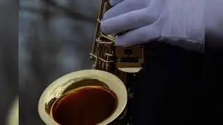 SUHAR MAX - Я люблю тебя до слез (кавер на саксофоне) | saxophone cover