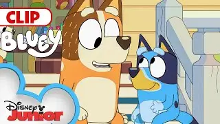 Bluey Season 3 Episode 14 