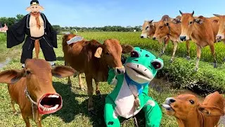 Nhạc chế đi chăn bò cầm cái roi chọc đít bò - Nhạc con bò - Con bò ăn cỏ - Bài hát con bò