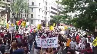Gaza support march, Washington D.C., 2 August 2014