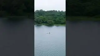Kandalama Lake BoatMan 🚣⛵🛥🇱🇰 