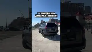 Разве не жиза?😂