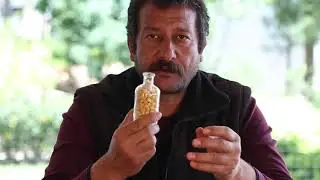Saksiya Tohum Ekimi