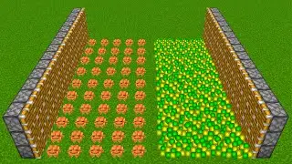 1000 Frogs + XP = ???