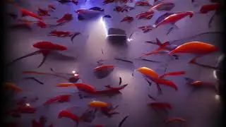 Canal Street Aquarium - vr180 3d