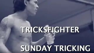 TricksFighter - Sunday Tricking - Pleyel Beast City