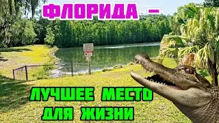 ЗЕЛЁНАЯ ФЛОРИДА - ЭТО ВАМ НЕ ПУСТЫНЯ❤️ЛУЧШЕЕ МЕСТО ДЛЯ ЖИЗНИ❤️ПРОБУЕМ КЕФИР❤️ЖИЗНЬ В США
