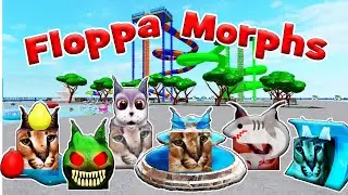 [🐳NEW] ШЛЁПА КАРТА АКВАПАРК 6 ПОСЛЕДНИХ МОРФОВ [UPDATE] Find The Floppa Morphs Water Park Map
