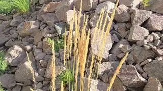 Samsung Galaxy Z Fold 6: camera test (4K, 30 fps)