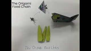 Unravel the Origami Food Chain: Fish, Whale, Plankton & Coral!